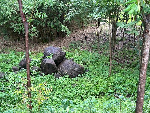 Eco-system in motion at Keshar Parvat