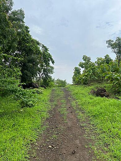 Keshar Parvat Nature Trail