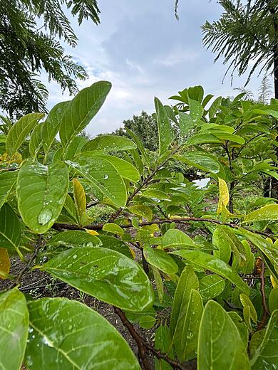 I can see symmetry out there can you