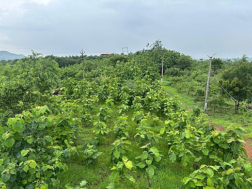 Keshar Parvat Aerial View
