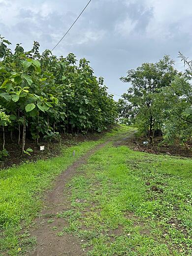 Keshar Parvat Nature Trail