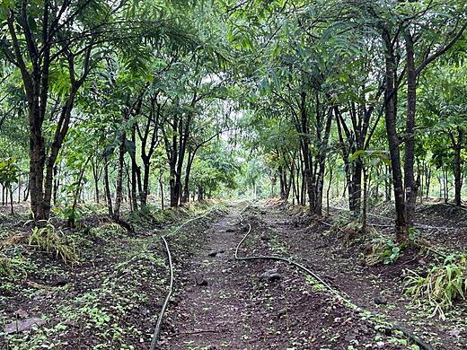 Getting dense in here