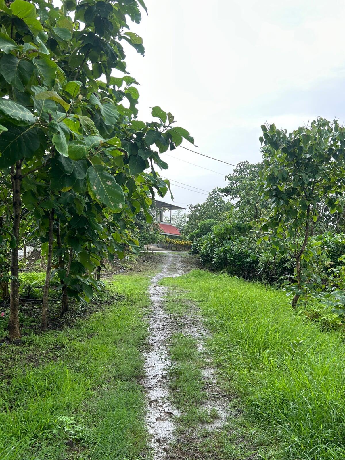 Keshar Parvat nature Trail