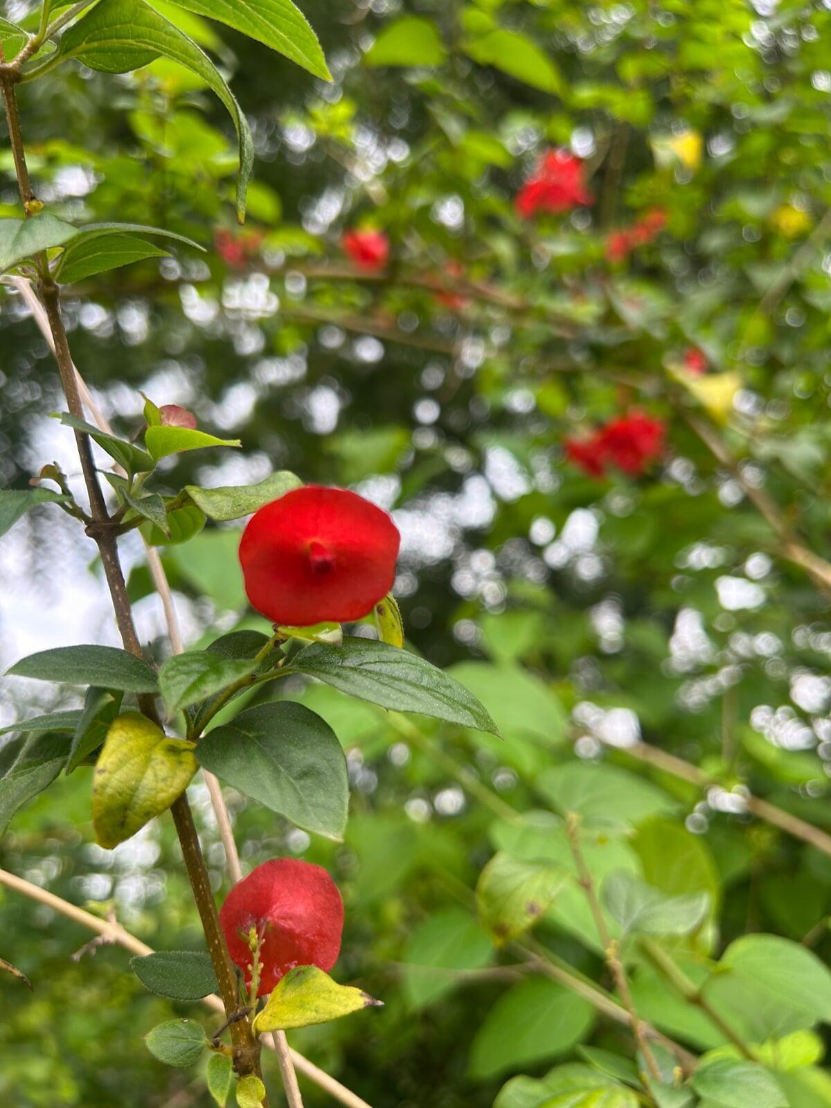 Pin us if you know what this is called