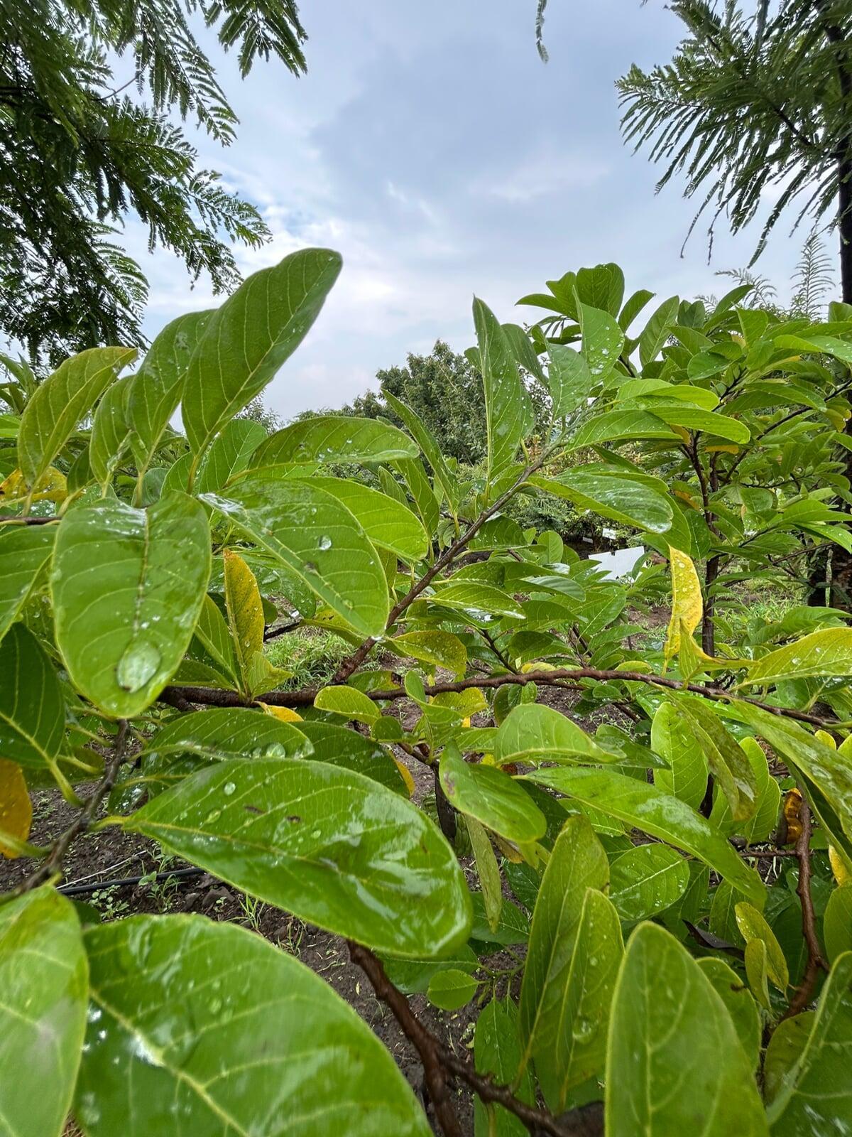 I can see symmetry out there can you