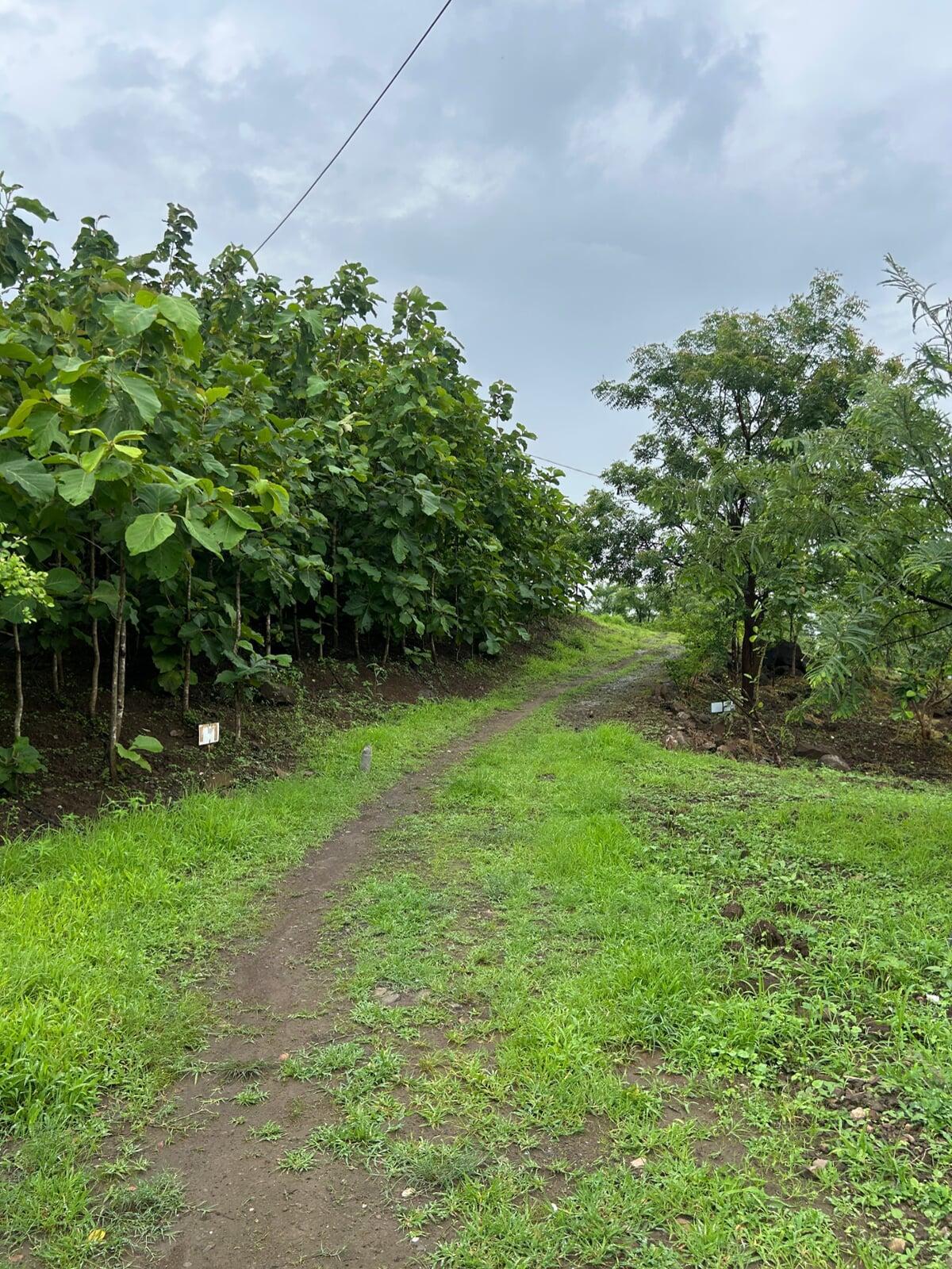 Keshar Parvat Nature Trail