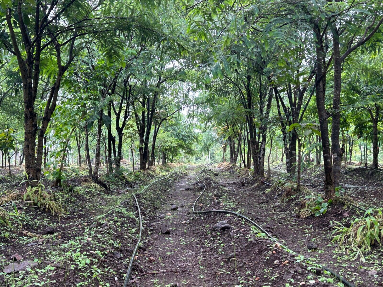 Getting dense in here